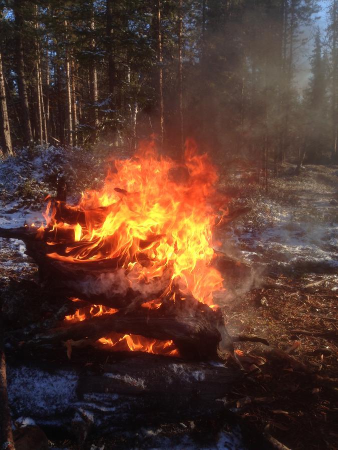 Ranta Aeaerelae Vuotso